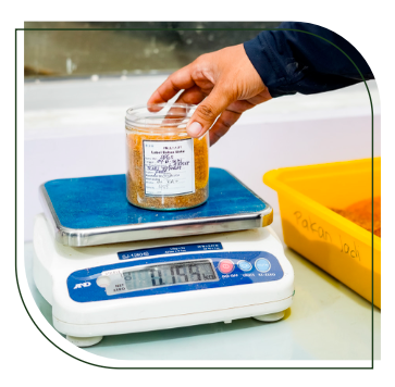 Competitive Advantage 1